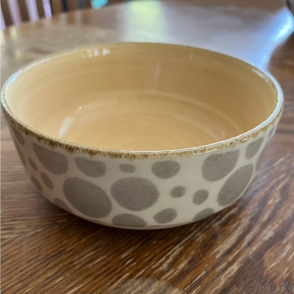 Vietri Ceramic Bowl Made in Portugal